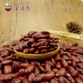 High qualtiy bigger size dark red kidney bean,2016 crop